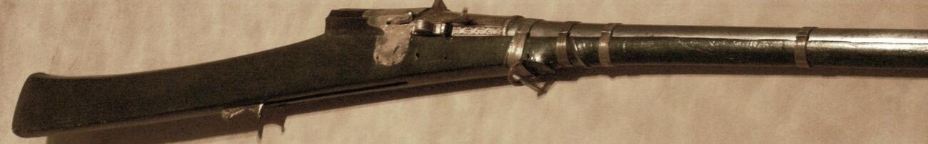 Gun
