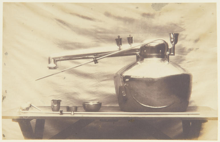 'Platina Alembic' 'Platina Alembic'