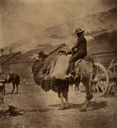 Going to Balaklava Going to Balaklava