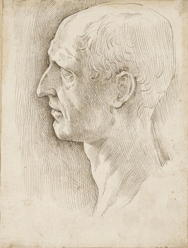The head of Julius Caesar