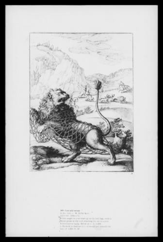 Lion and mouse Lion and mouse