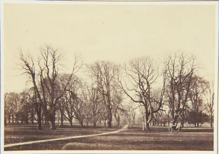 'In Beddington Park' 'In Beddington Park'