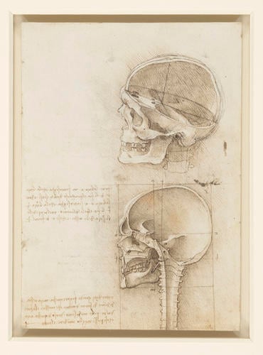 Recto: The skull sectioned. Verso: The cranium