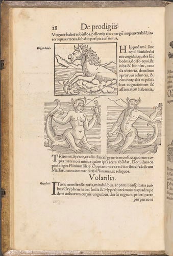 Prodigiorum ac ostentorum chronicon : qu? pr?ter natur? ordinem, motum, et operationem, et in superioribus & his inferioribus mundi regionibus, ab exordio mundi usque ad h?c nostra tempora, acciderunt