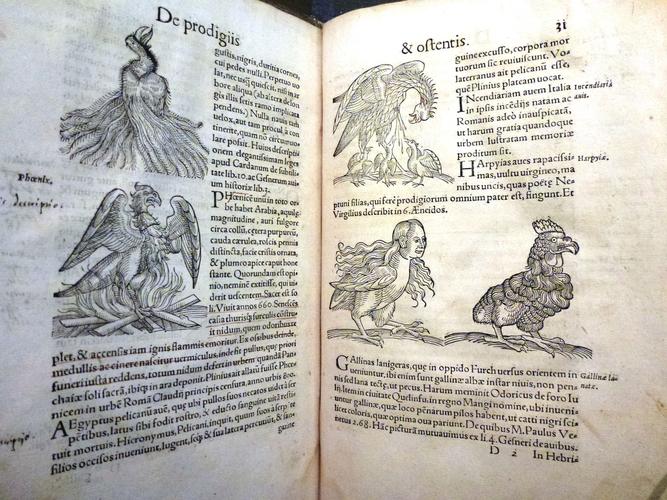 Prodigiorum ac ostentorum chronicon : quæ præter naturæ ordinem, motum, et operationem, et in superioribus & his inferioribus mundi regionibus, ab exordio mundi usque ad hæc nostra tempora, acciderunt. Quod portentorum genus non temerè euenire solet, sed humano generi exhibitum, seueritatem iramq́[ue] Dei aduersus scelera, atq[ue] magnas in mundo uicissitudines portendit. Partim ex probatis fideq́[ue] dignis authoribus Gr[a]ecis, atque Latinis: partim etiam ex multorum annorum propria obseruatione, summa fide, studio ac sedulitate, adiectis etiam rerum omnium ueris imaginibus / conscriptum per Conradum Lycosthenem Rubeaquensem