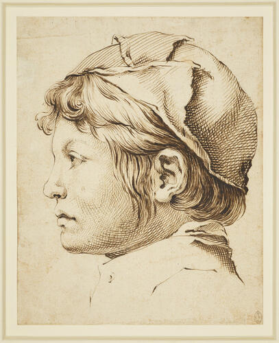The head of a boy