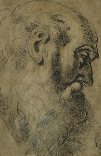 The head of a bearded man, in profile