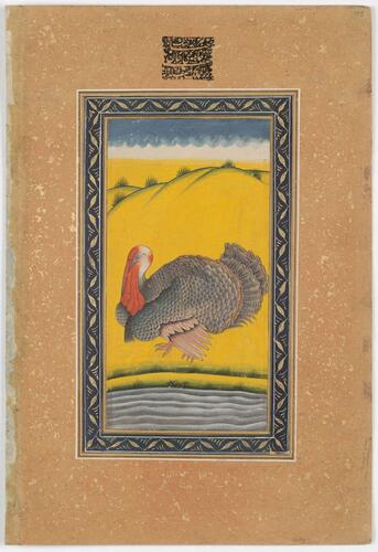 Master: Mughal album of portraits, animals and birds.
Item: Paintings of a Mughal lady on a terrace and a turkey Master: Mughal album of portraits, animals and birds.
Item: Paintings of a Mughal lady on a terrace and a turkey