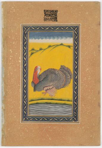 Master: Mughal album of portraits, animals and birds.
Item: Paintings of a Mughal lady on a terrace and a turkey