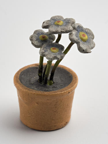 Flower in pot
