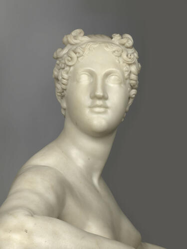 Dirce