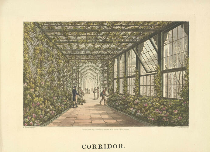Item: CORRIDOR Item: CORRIDOR