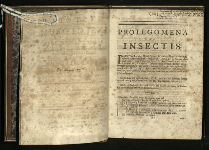 Historia insectorum : opus posthumum / John Ray