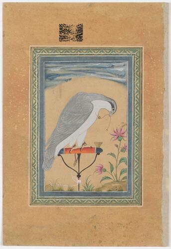 Master: Mughal album of portraits, animals and birds.
Item: Painting of a falcon and portrait of Kam Bakhsh