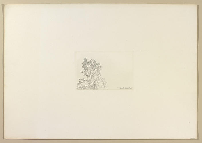 Landscape with trees