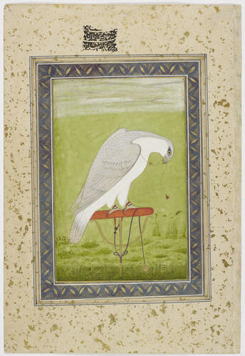 Master: Mughal album of portraits, animals and birds.
Item: Painting of a falcon and portrait of Sulaiman Shukoh