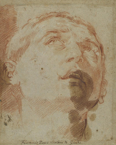 903354 recto.jpg 903354 recto.jpg