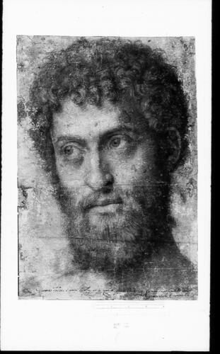The head of a man