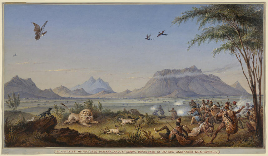 Lion hunt in the mountains of Victoria, Southern Africa