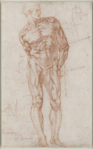 A male nude with proportions indicated A male nude with proportions indicated