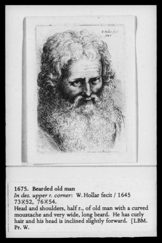 Bearded old man Bearded old man