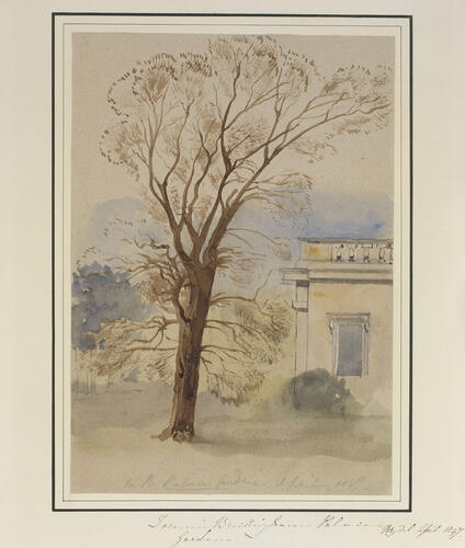 Master: Queen Victoria and Prince Albert's Album Vol. I.
Item: Tree in Buckingham Palace Garden
