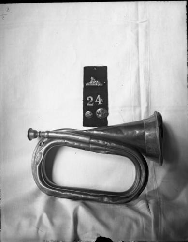 Glass plate negative