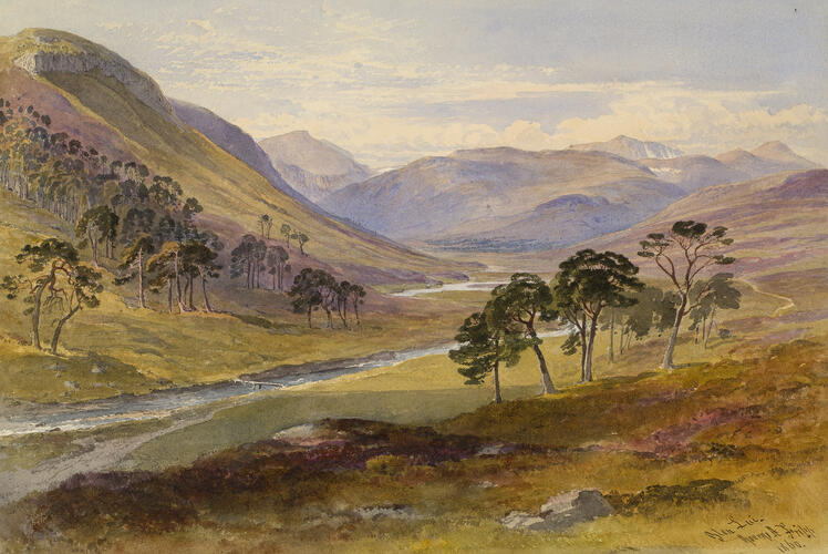 Glen Lui