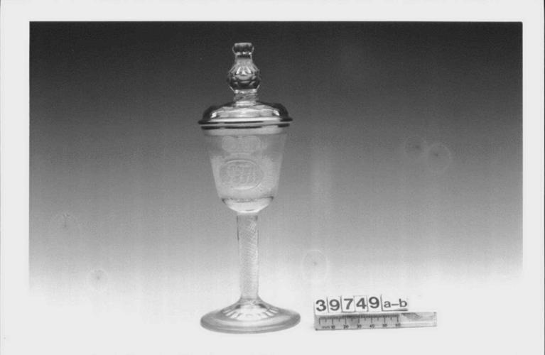 Set of wine glasses and covers