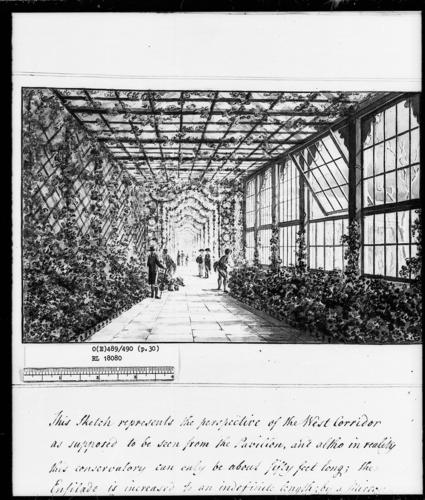 Designs for the Pavilion at Brighton: West Corridor of the Pavilion-Green House