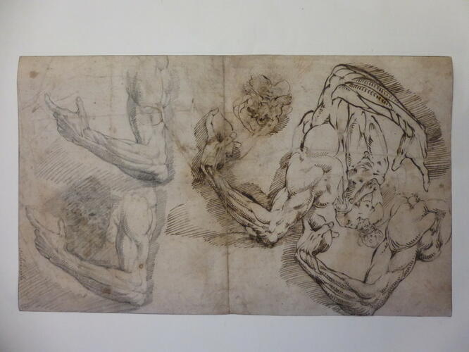 Studies of an arm, and a Hercules Studies of an arm, and a Hercules