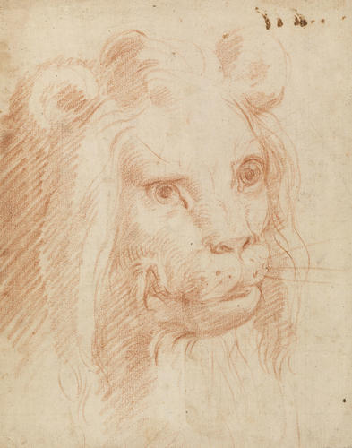 A lion's head A lion's head