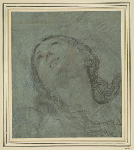 The head of a woman The head of a woman