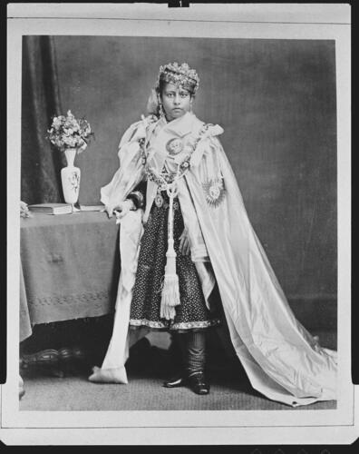 Sultan Shahjahan Begum, GCSI (1838-1901), Begum of Bhopal : Prince of Wales Tour of India 1875-6 (vol. 3) Sultan Shahjahan Begum, GCSI (1838-1901), Begum of Bhopal : Prince of Wales Tour of India 1875-6 (vol. 3)