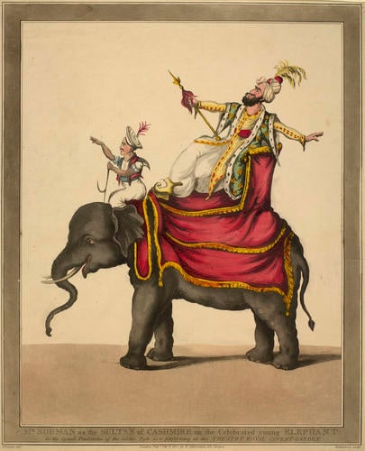 Mr. Norman as the Sultan of Cashmire on the Celebrated young Elephant in the Grand Pantomime of the Golden Fish now performing at the Theatre Royal Covent Garden Mr. Norman as the Sultan of Cashmire on the Celebrated young Elephant in the Grand Pantomime of the Golden Fish now performing at the Theatre Royal Covent Garden