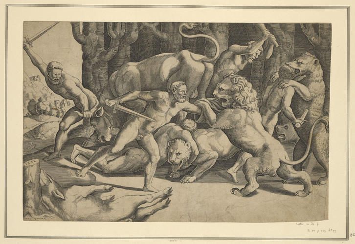 A fight between men and animals