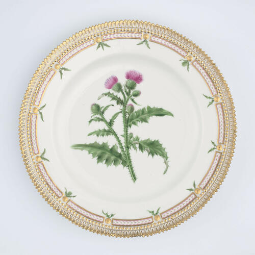 Master: Set of dinner plates
Item: Carduus crispus