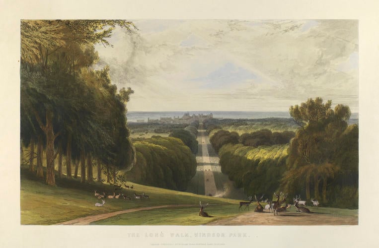 The Long Walk, Windsor Park The Long Walk, Windsor Park