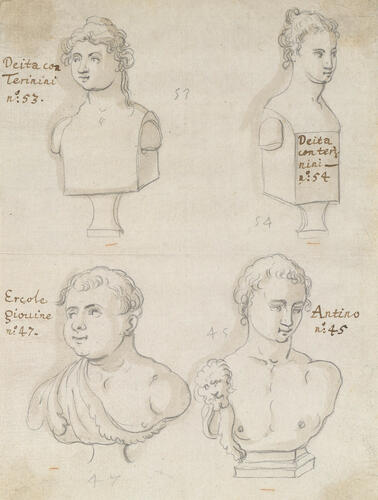 Two female and two male antique busts Two female and two male antique busts