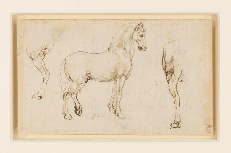 Studies of horses