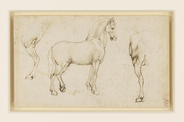 Studies of horses Studies of horses