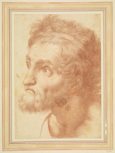 The head of a bearded man The head of a bearded man