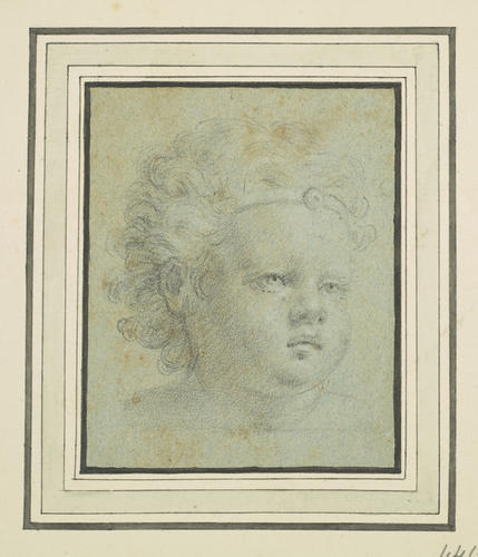 The head of a child