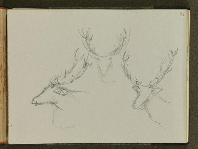 Master: SKETCHES FROM NATURE V. R. 1851 TO 1855
Item: Studies of stags' heads