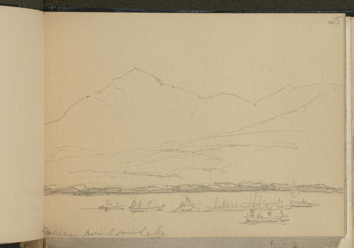 Master: SKETCHES FROM NATURE V. R. MDCCCLX TO MDCCCLXI
Item: From Lower Lake Master: SKETCHES FROM NATURE V. R. MDCCCLX TO MDCCCLXI
Item: From Lower Lake
