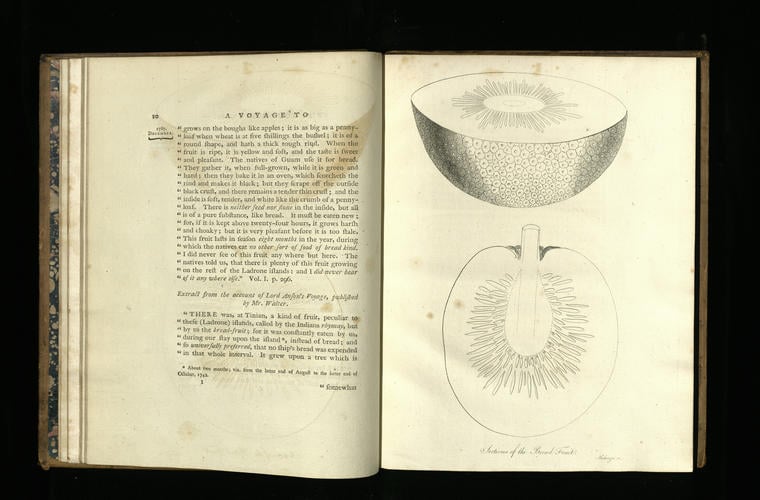 A Voyage to the south sea. . . for the purpose of conveying the bread-fruit tree to the West Indies. . . commanded by. . . William Bligh