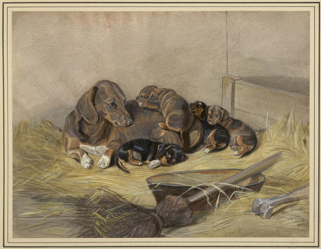 Waldina and her puppies Waldina and her puppies