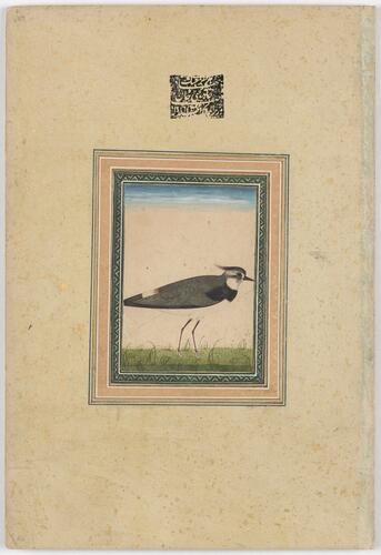 Master: Mughal album of portraits, animals and birds.
Item: Paintings of a northern lapwing and lovers on a terrace Master: Mughal album of portraits, animals and birds.
Item: Paintings of a northern lapwing and lovers on a terrace