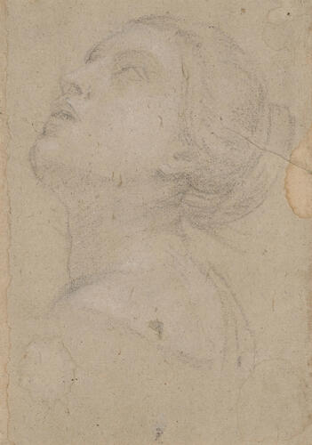 Recto: A woman's head, turned to the left. Verso: a left and a right foot Recto: A woman's head, turned to the left. Verso: a left and a right foot