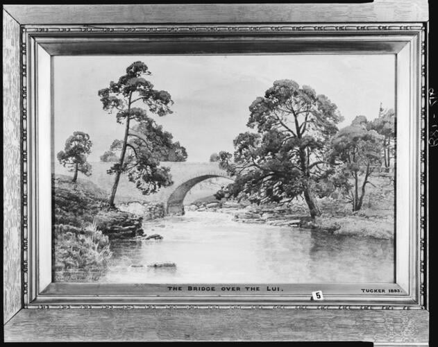 Bridge over the Lui